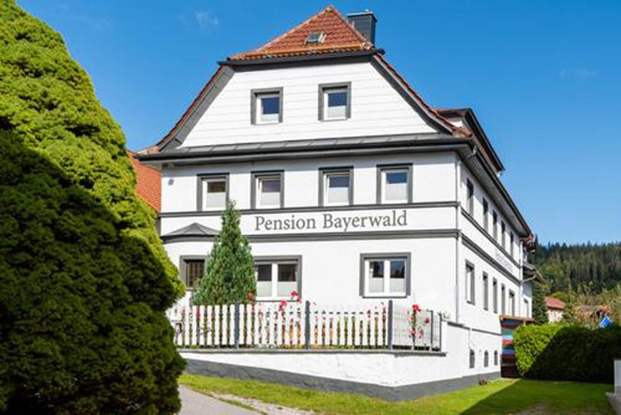Pension Bayerwald Mit Ferienwohnung ボーデンマイス エクステリア 写真