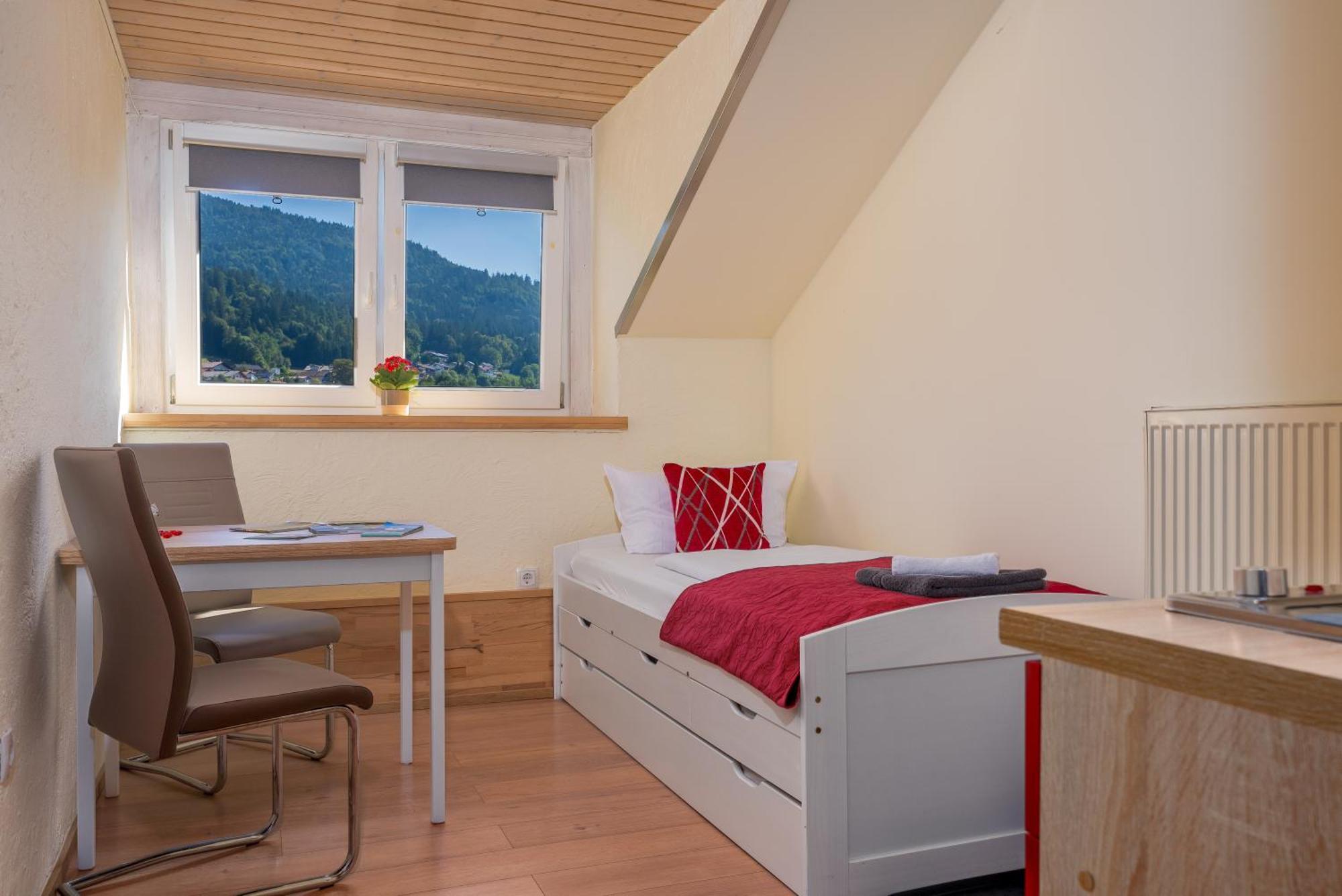 Pension Bayerwald Mit Ferienwohnung ボーデンマイス エクステリア 写真
