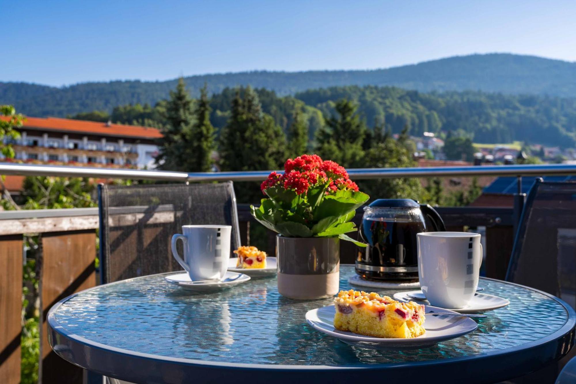 Pension Bayerwald Mit Ferienwohnung ボーデンマイス エクステリア 写真